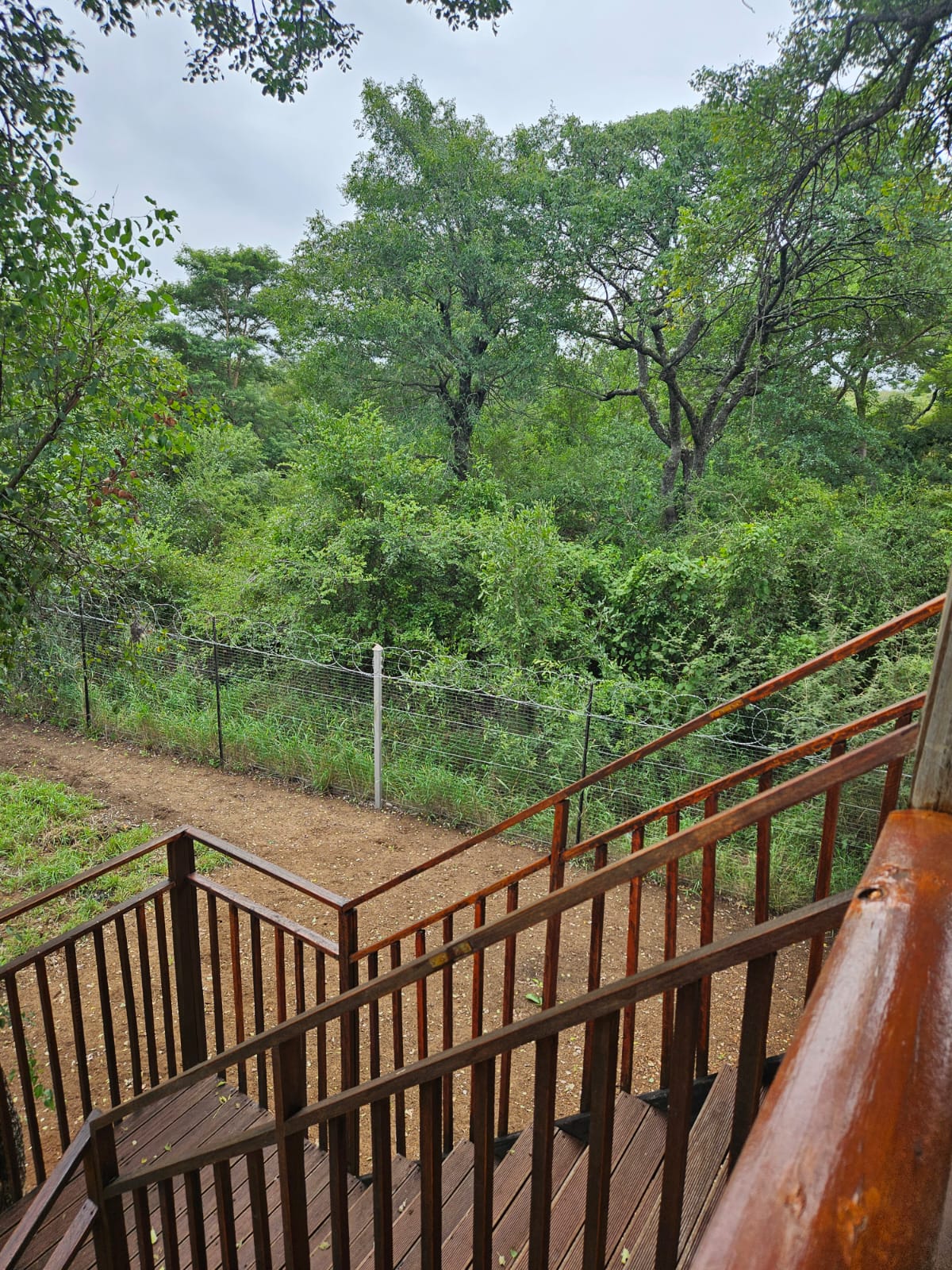 Xingwenyani Gallery